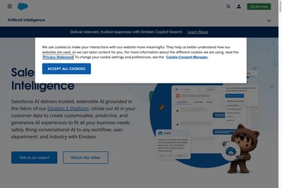 Salesforce Einstein AI-Lösungen preview